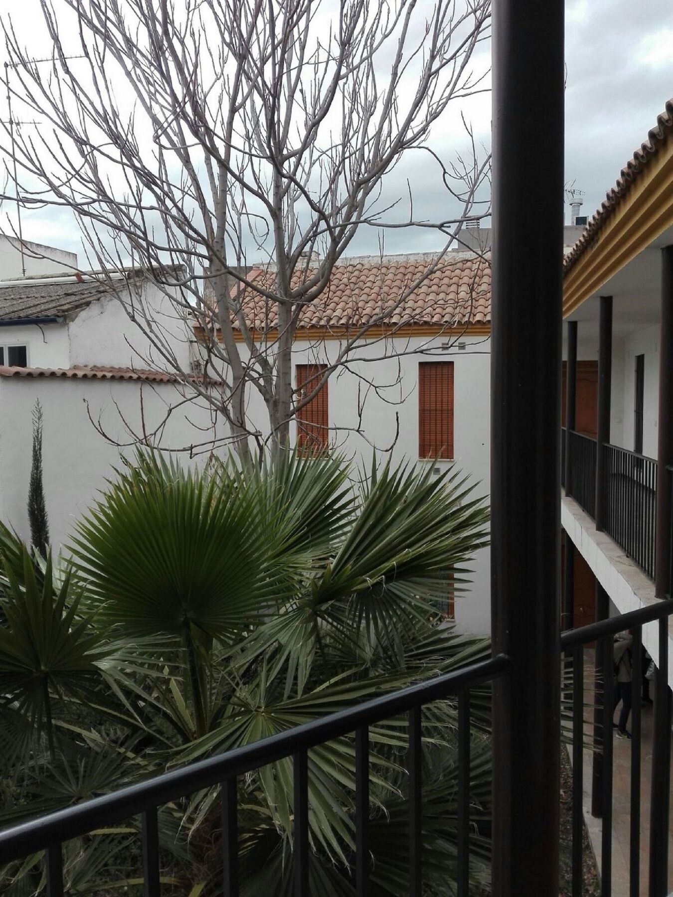 Apartamento Alfonso XII Córdoba Eksteriør bilde